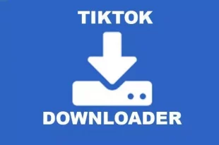 SnapTik App, Download Video Tiktok Tanpa Watermark HD Gratis